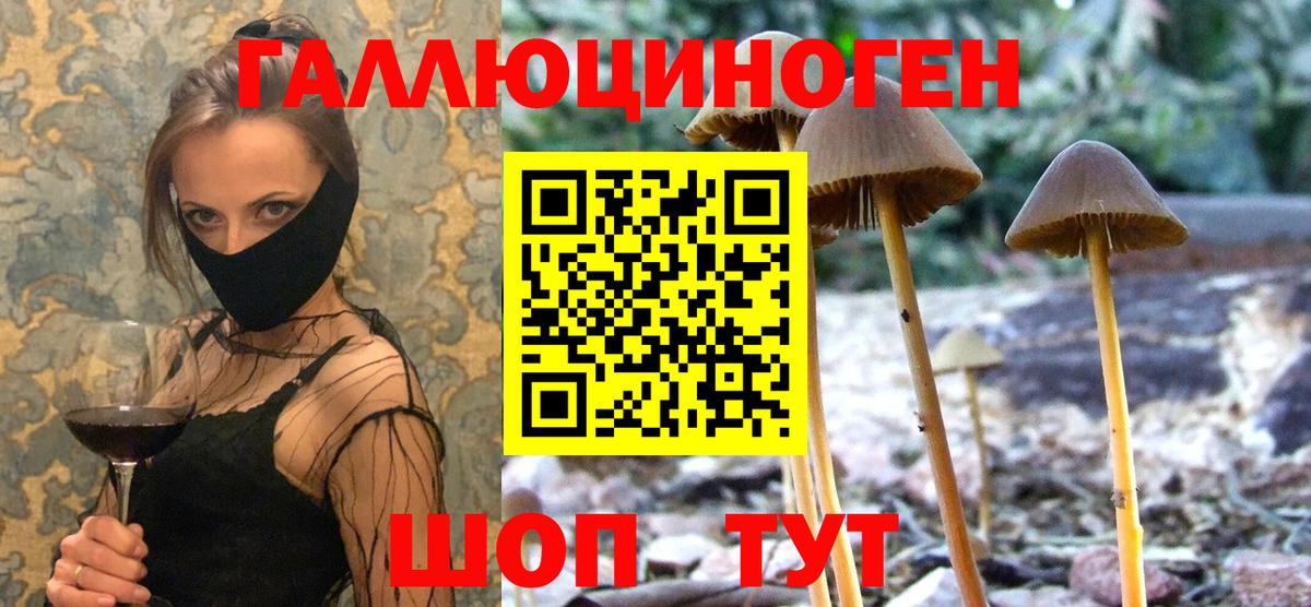 Бузулук  где продают наркотики  Вход с VPN  Псилоцибиновые грибы GOLDEN TEACHER  Псилоцибиновые грибы Cubensis 